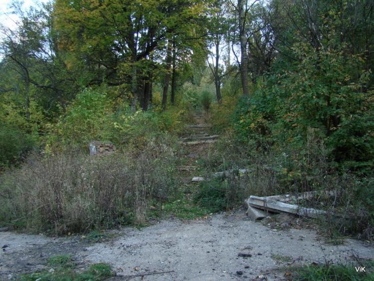 Зайченки з panoramio.com - Зайченки