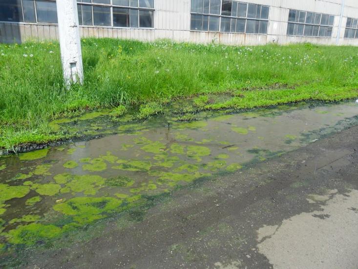 Спартак з panoramio.com - Спартак