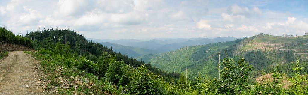 Кам'янка з panoramio.com - Каменка