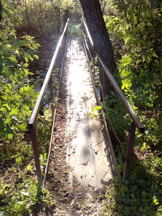 Подвір'ївка з panoramio.com - Подворьевка