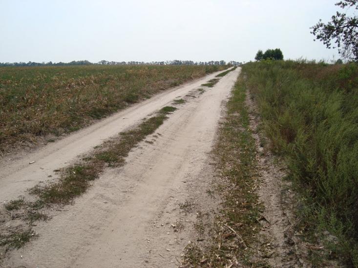 Петрівське з panoramio.com - Петрівське