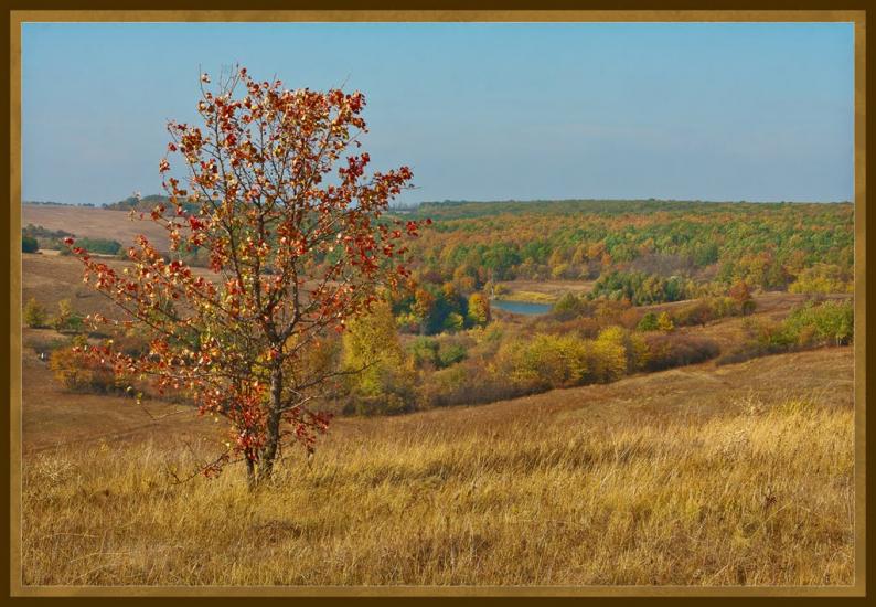 Замірці з panoramio.com - Zamirtsi