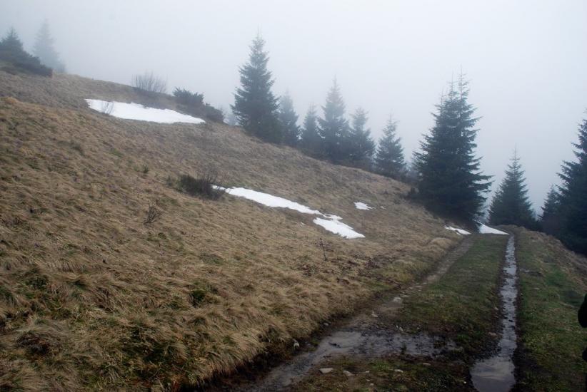 Сітний з panoramio.com - Ситный