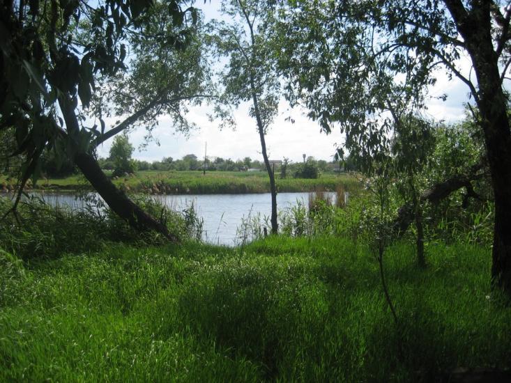 Бирлівка з panoramio.com - Бирлівка