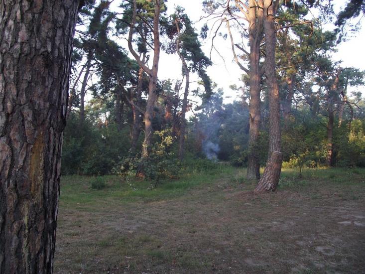 Чмирівка з panoramio.com - Чмыревка