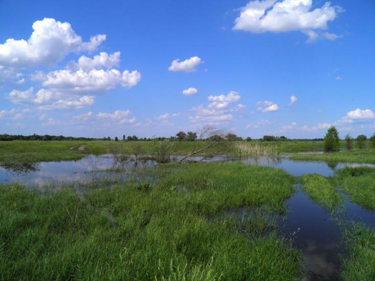 Піски з panoramio.com - Піски