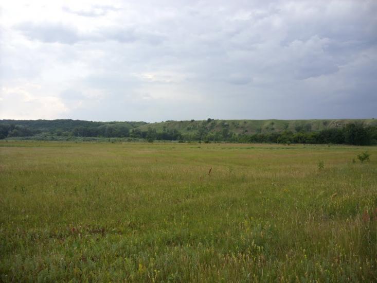 Заможнє з panoramio.com - Заможнє