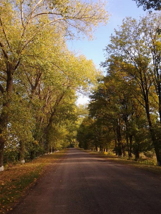 Добра з panoramio.com - Добрая