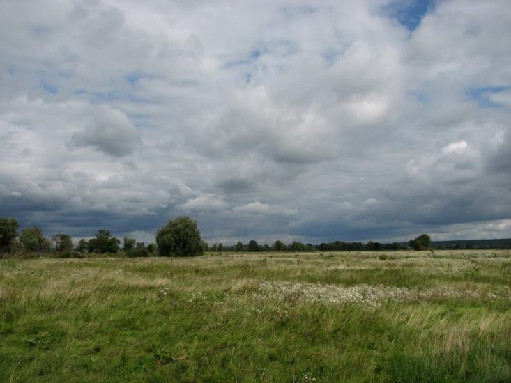 Зазим'я з panoramio.com - Зазимье