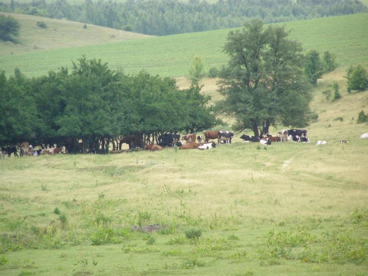 Сатанівка з panoramio.com - Сатановка