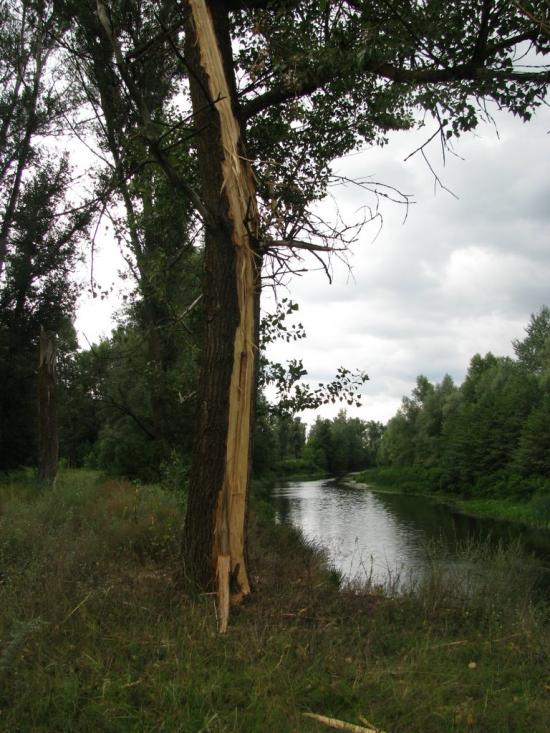 Глоди з panoramio.com - Глоди