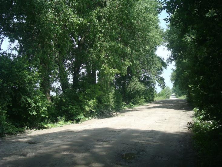Черепова з panoramio.com - Черепова