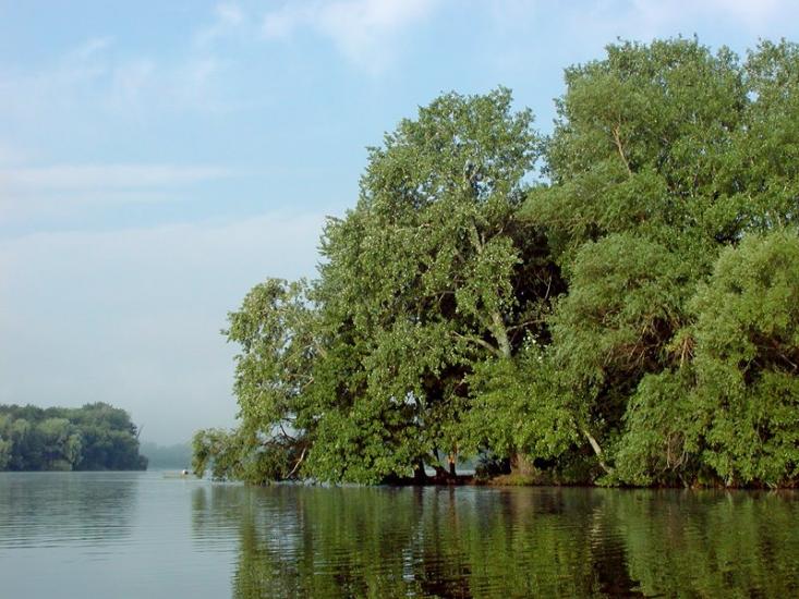 Комісарівка з panoramio.com - Комісарівка