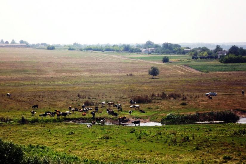 Костянтинівка з panoramio.com - Konstantinovka