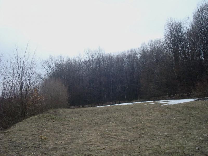 Сербинівці з panoramio.com - Сербинівці