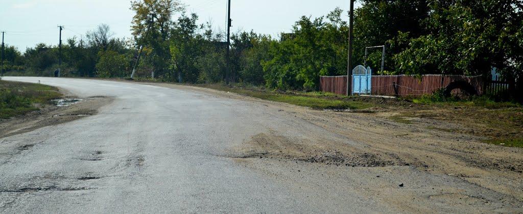 Розалівка з panoramio.com - Розаловка