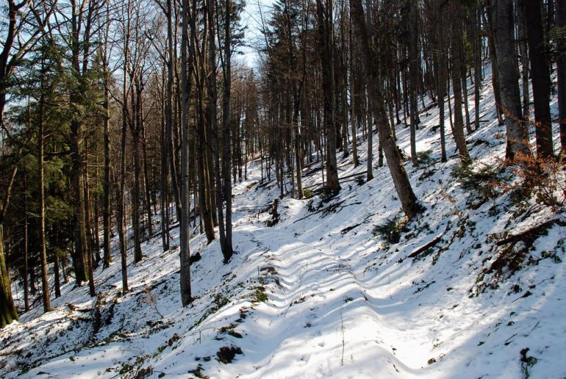 Букове з panoramio.com - Букове