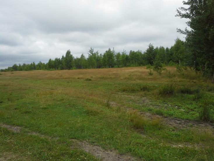 Сошники з panoramio.com - Сошники