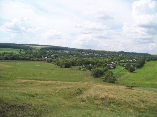 Подвір'ївка з panoramio.com - Подворьевка