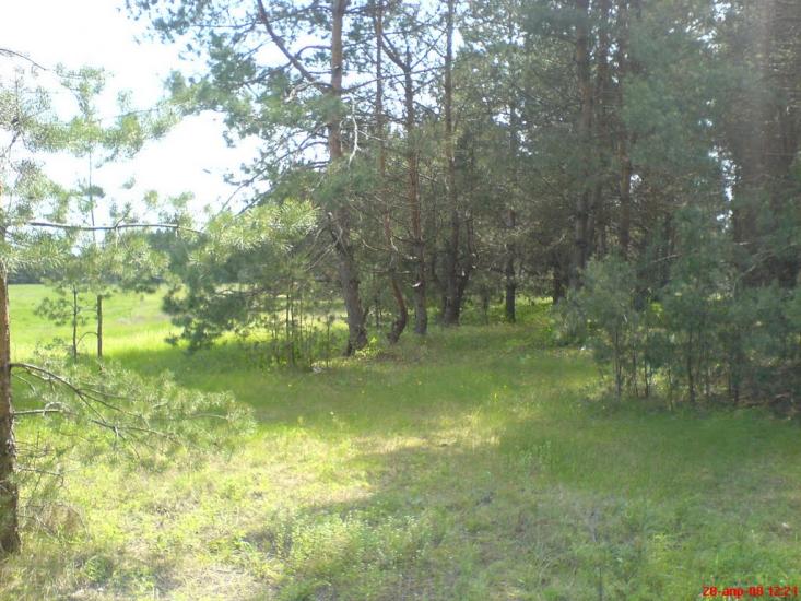 Борівське з panoramio.com - Борівське