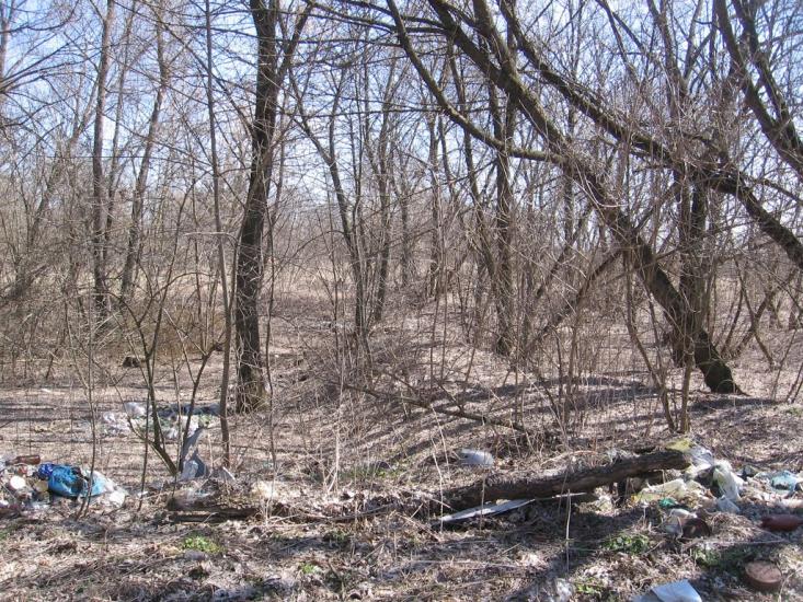 Малинівка з panoramio.com - Малиновка