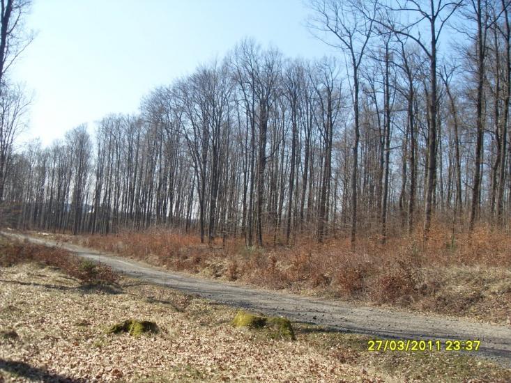 Кобалевиця з panoramio.com - Кобалевиця