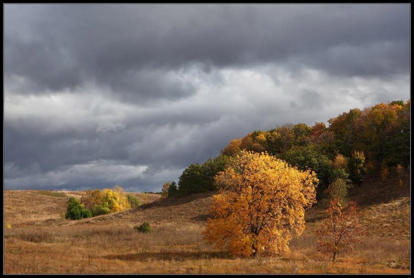 Петропавлівка з panoramio.com - Петропавлівка