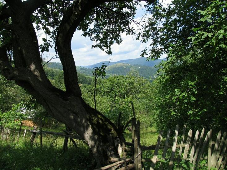 Бабин з panoramio.com - Бабин