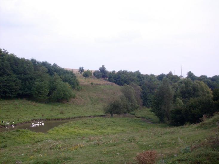 Карбівське з panoramio.com - Карбівське