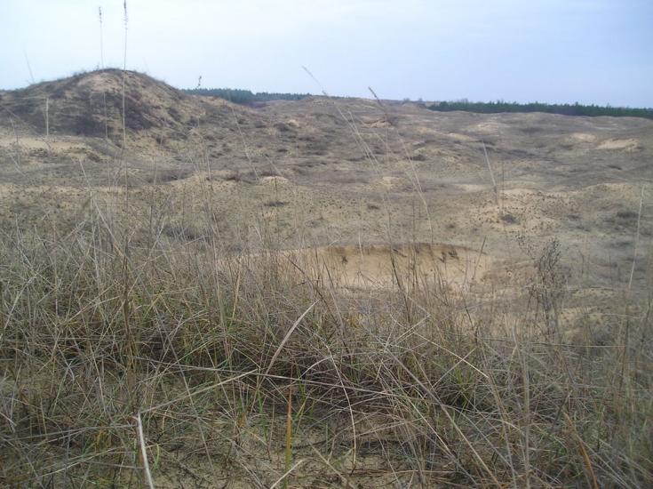 Пролетарка з panoramio.com - Пролетарка