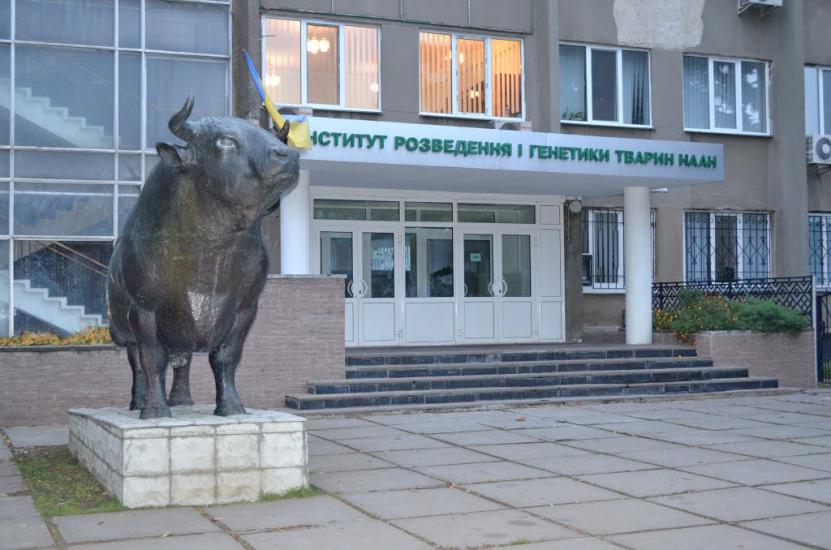 Чубинське з panoramio.com - Чубинське