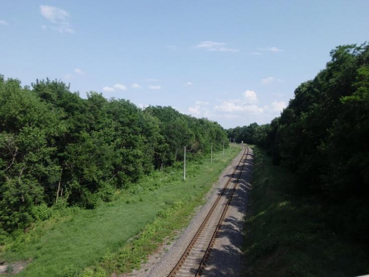 Бездрик з panoramio.com - Бездрик