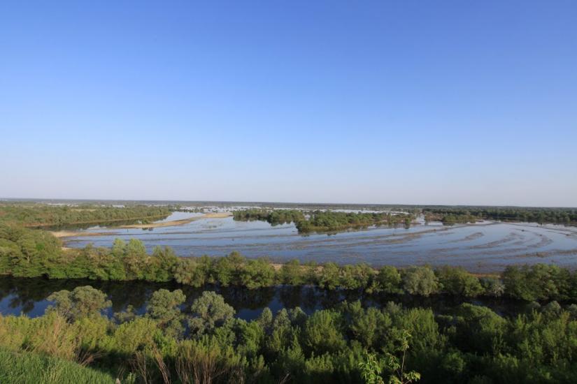 Араповичи з panoramio.com - Араповичи