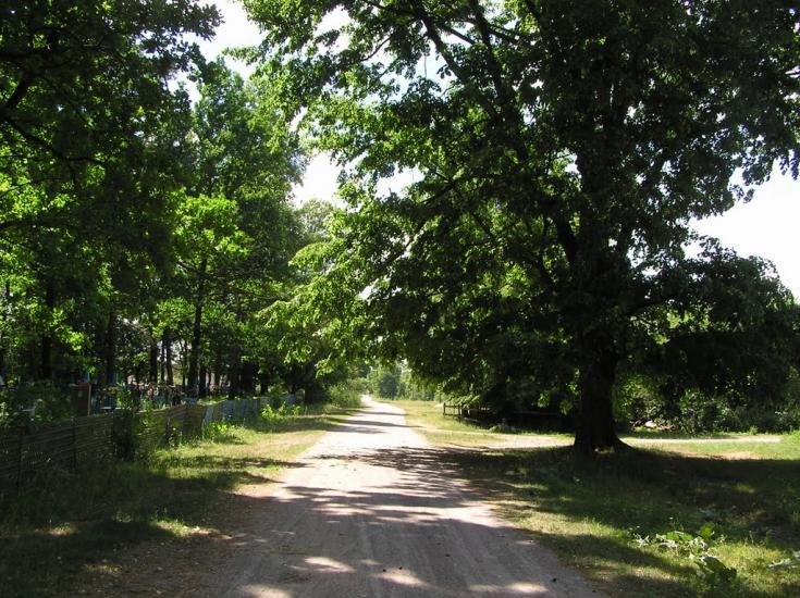 Ушиця з panoramio.com - Ушица