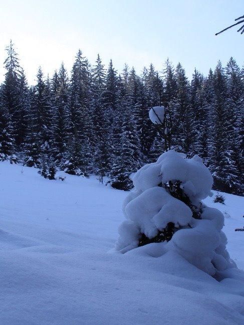 Пилипець з panoramio.com - Pylypets