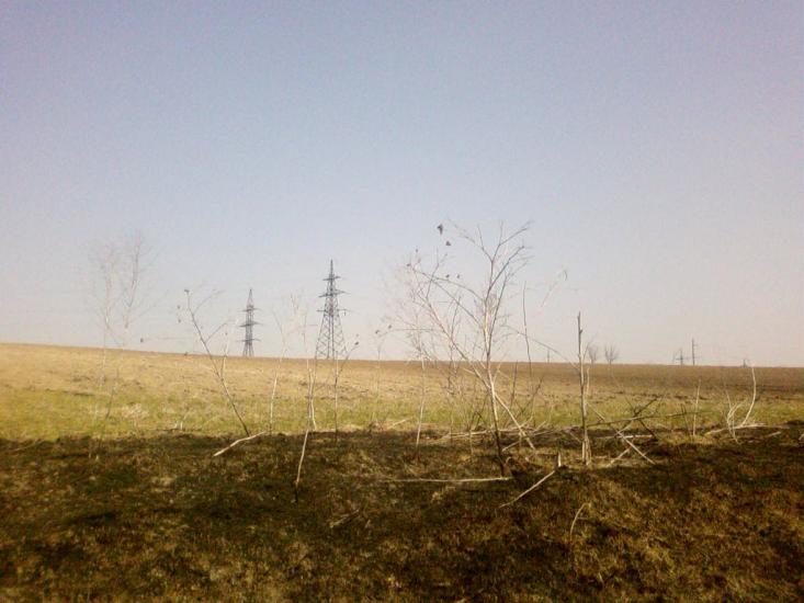 Великий Омеляник з panoramio.com - Великий Омеляник