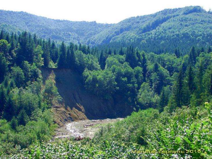 Кричка з panoramio.com - Кричка