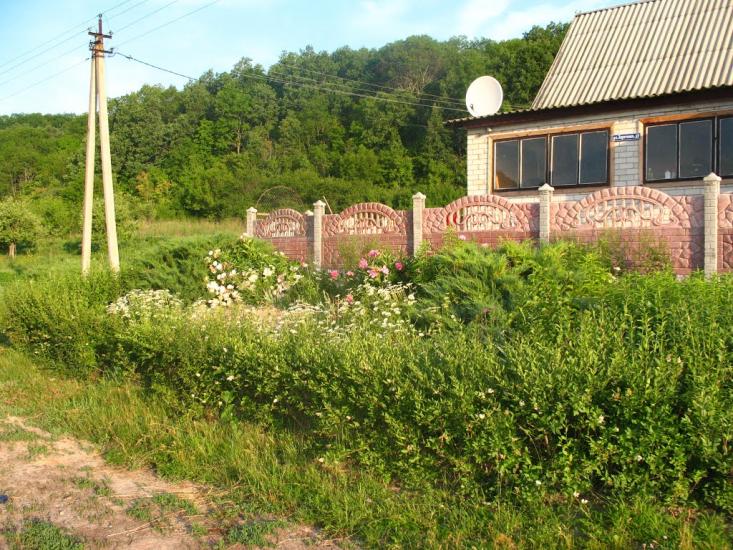 Приліпка з panoramio.com - Прилипка