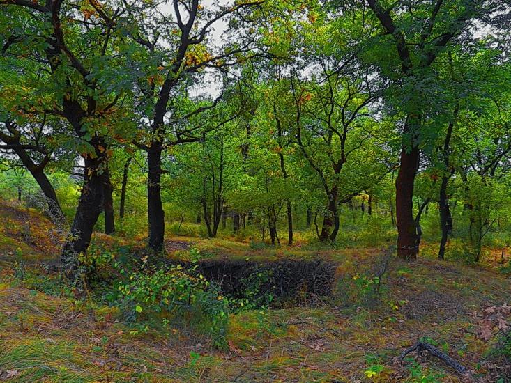 Коровій Яр з panoramio.com - Коровій Яр