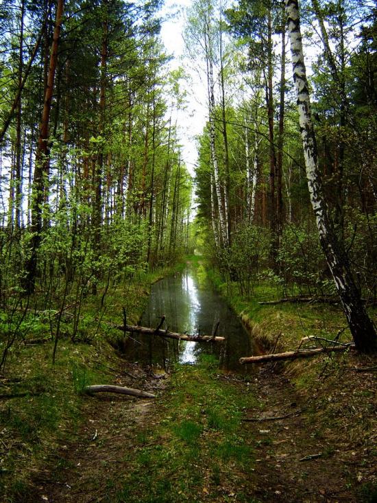 Нові Яриловичі з panoramio.com - Новые Ярыловичи