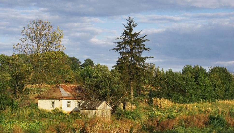 Дзензелівка з panoramio.com - Дзензелівка