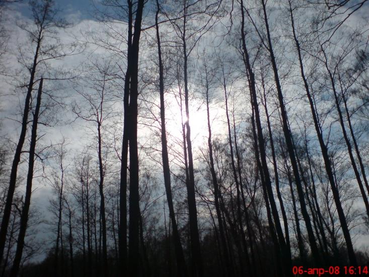 Ображіївка з panoramio.com - Ображіївка