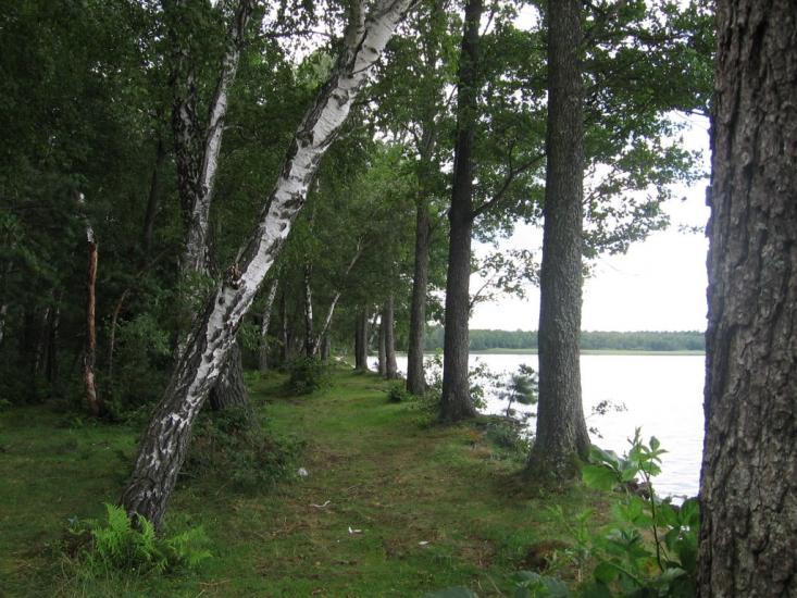 Рудка з panoramio.com - Рудка