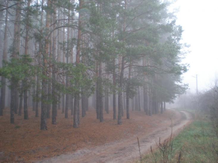 Нова Буда з panoramio.com - Новая Буда