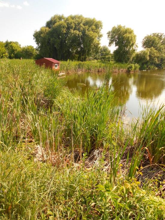 Козятин з panoramio.com - Kozyatyn