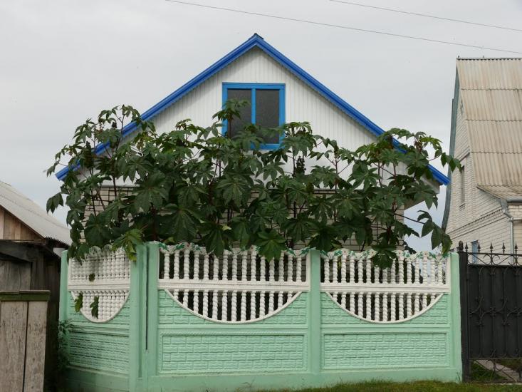 Перемога з panoramio.com - Перемога