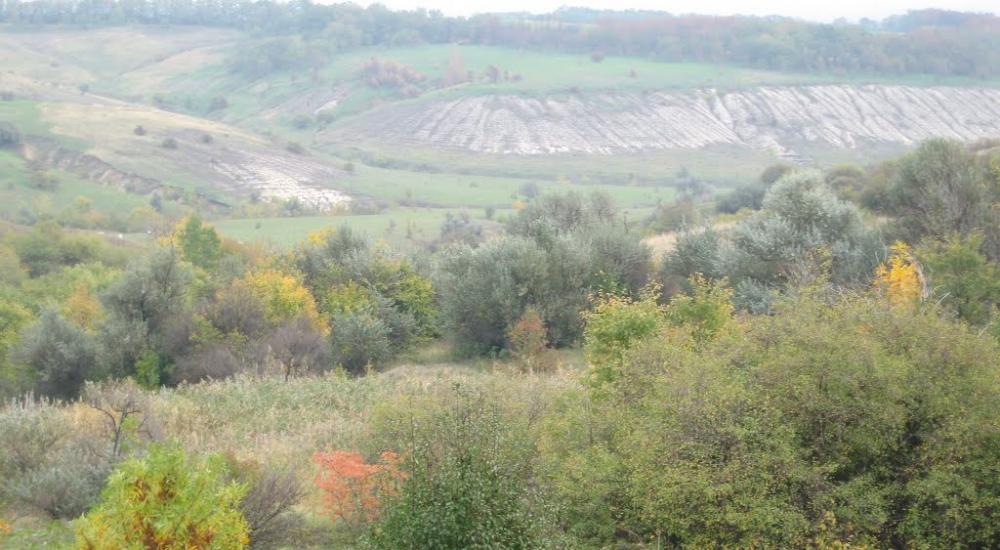 Хворостянівка з panoramio.com - Хворостянівка