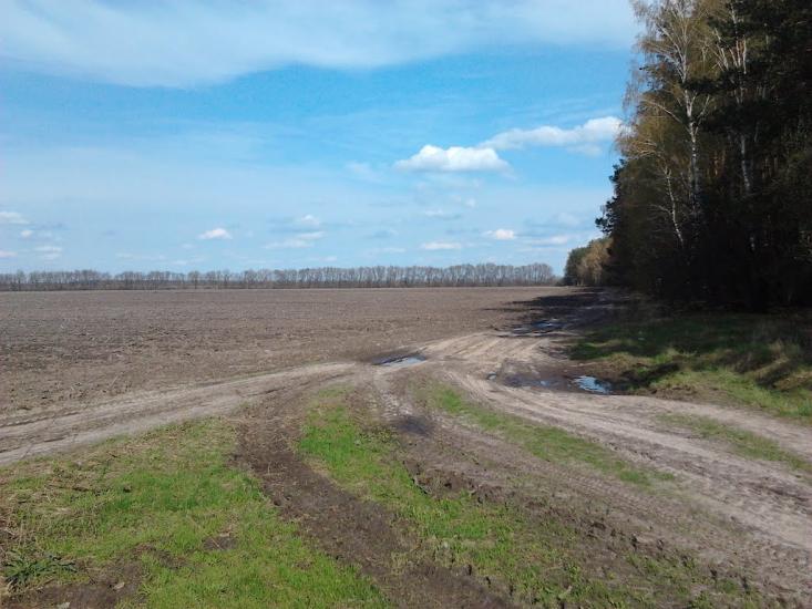 Долина з panoramio.com - Долина