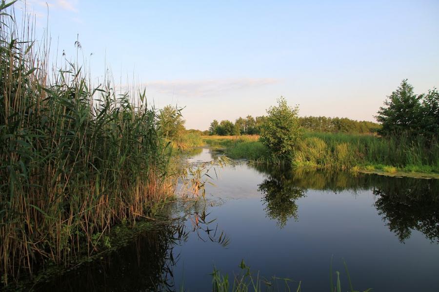 Кам'янка з panoramio.com - Каменка
