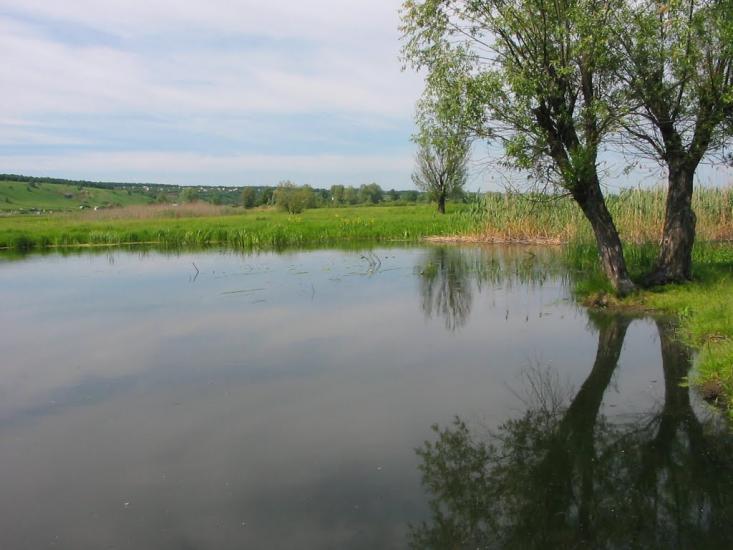 Циркуни з panoramio.com - Циркуни